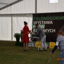 psydz1 70